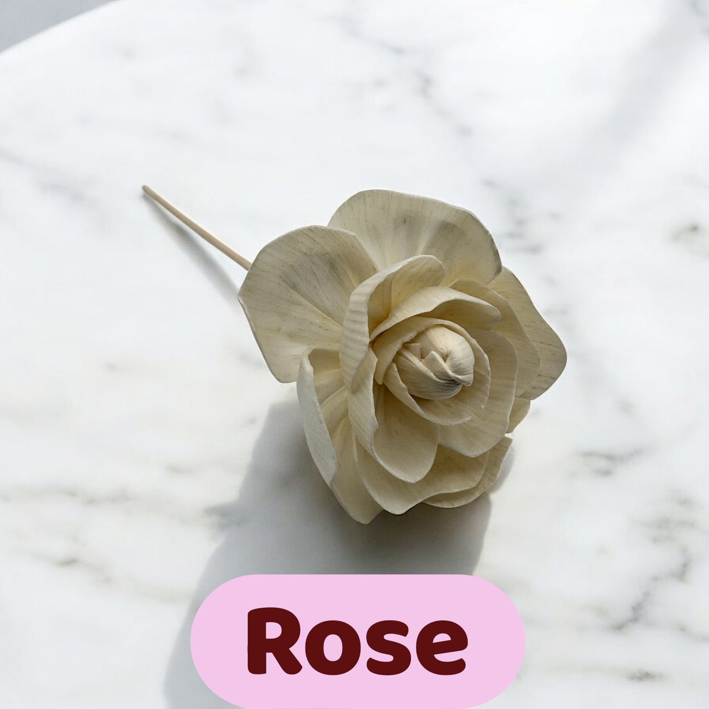 Rhubarb & Rose Flower Edition Diffuser 100ml